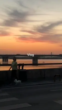 Vlog