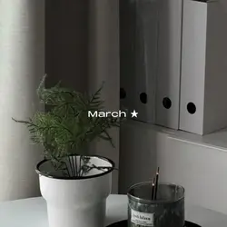 dumpyy march