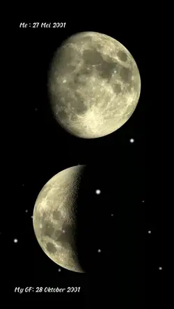 Trend Bulan