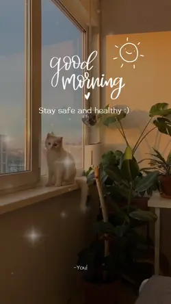 stay safe,  healthy