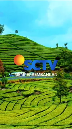 FTV SCTV