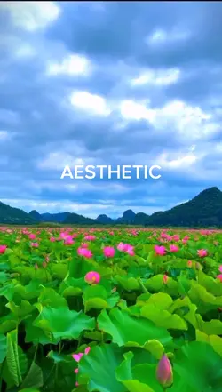 Slowmo aesthetic 