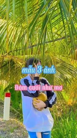 Đám Cưới Như Mơ