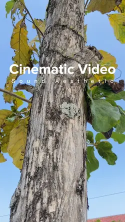 Cinematic Motor
