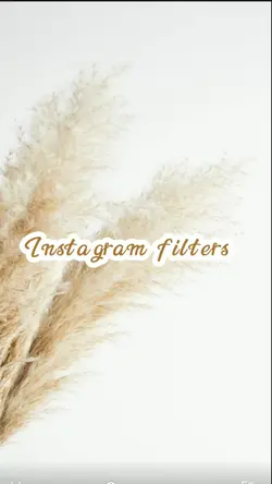 INSTAGRAM FILTERS