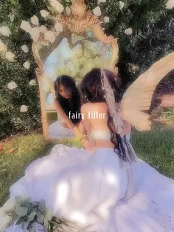 fairy filter