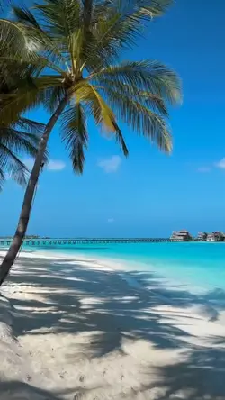 maldives