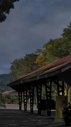 the quiet school