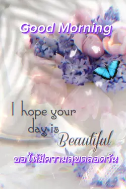 Happy Saturday