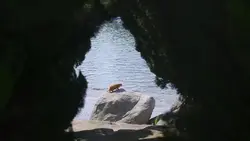 vlog