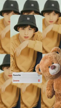 frame bear trend
