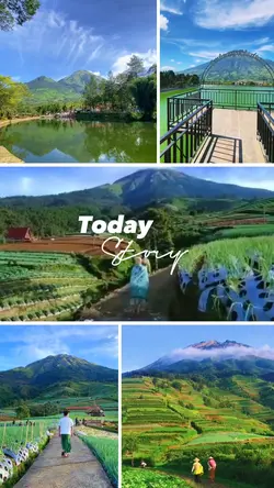 Today Story 1219
