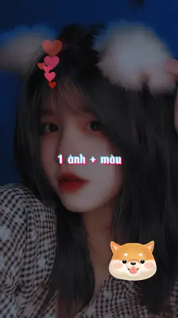 1 ảnh + màu