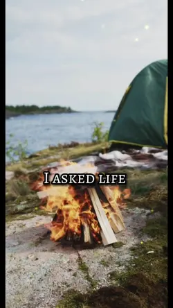 Life meaning
