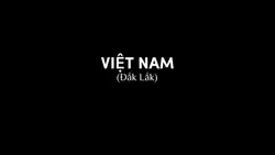 show tỉnh thành 