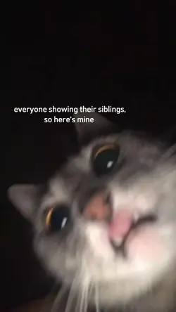 siblings