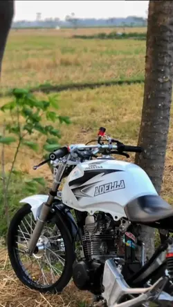 TREND MOTOR 