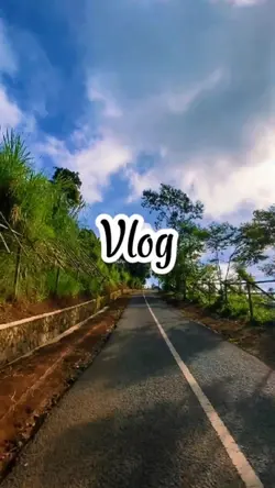 Vlog