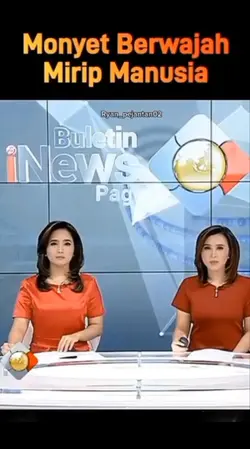 Monyet berwajah