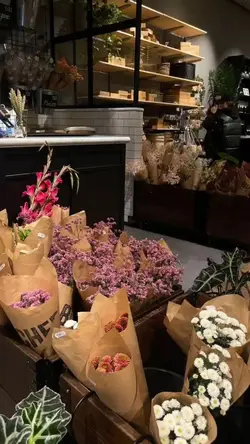 mẫu 20ảnh nhạc chill
