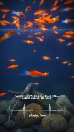 story keren abiz