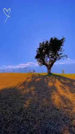 Slowmo Adem