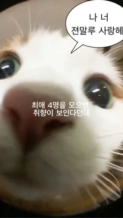뭔가 보이는거 같기두..