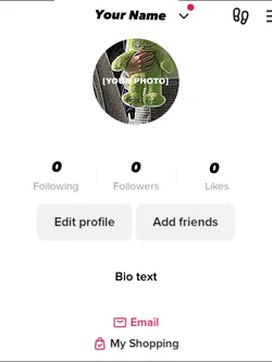 Fake Followers