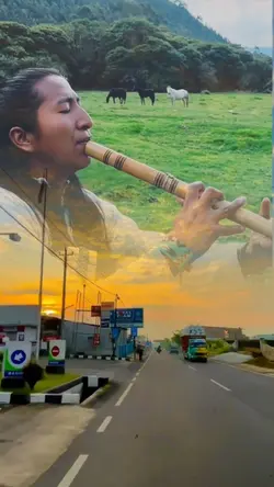 lagu viral