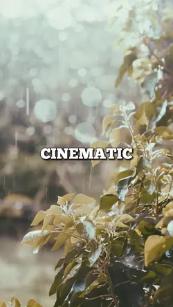 CINEMATIC TEMPLATE 