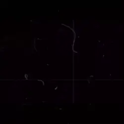 1 ảnh