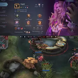 Mobile legend.