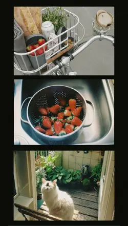 3 ảnh + film