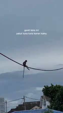 Konten viral Tiktok