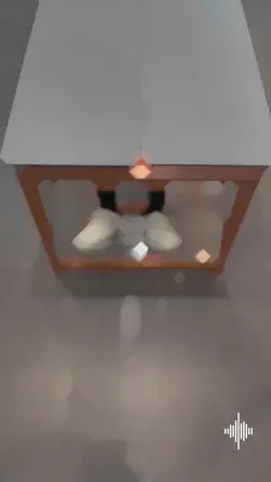 DJ
