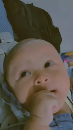 templat bayi lucu