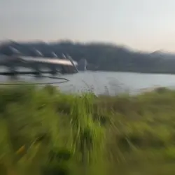 여름방학 언제예요?