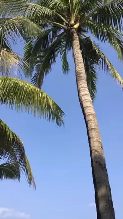 1 Video 7 Pictures
