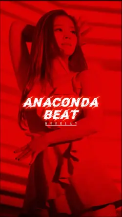 ANACONDA BEAT
