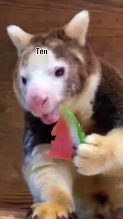 THAY TÊN