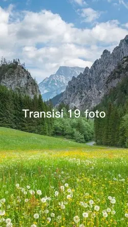 Transisi 19 foto