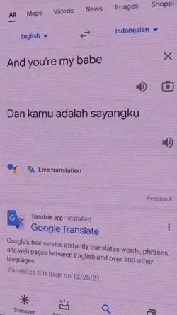 google translate