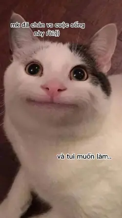 mẫu siu nhân
