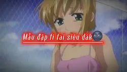 Mẫu ngang đập đập
