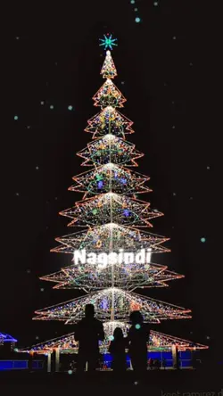 Star ng Pasko