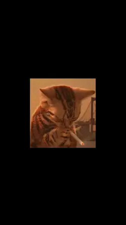 elgato smoking*-*