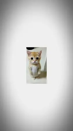 12 pics