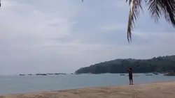 mini vlog
