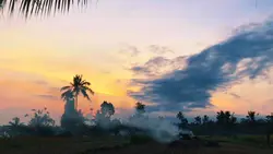 Cinematic senja🍃