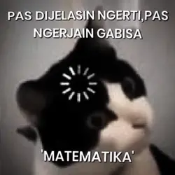 Story' Wa 